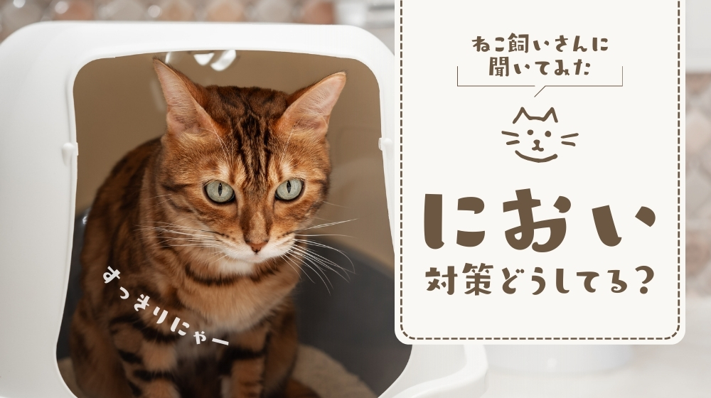 猫の臭い対策のアンケ―調査結果